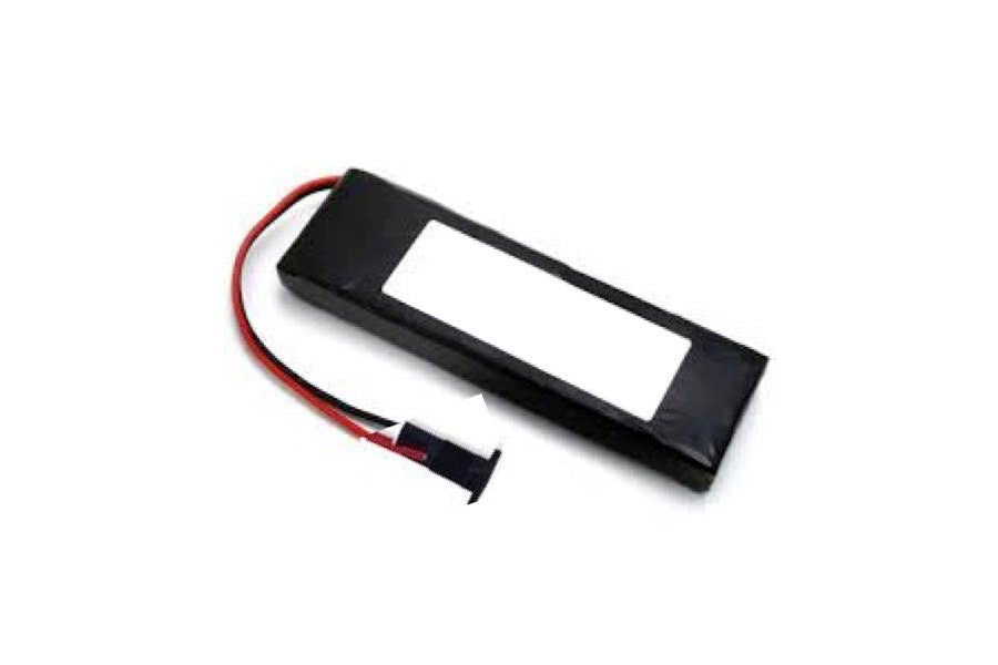 Battery w/ Leads, Cap & Holder